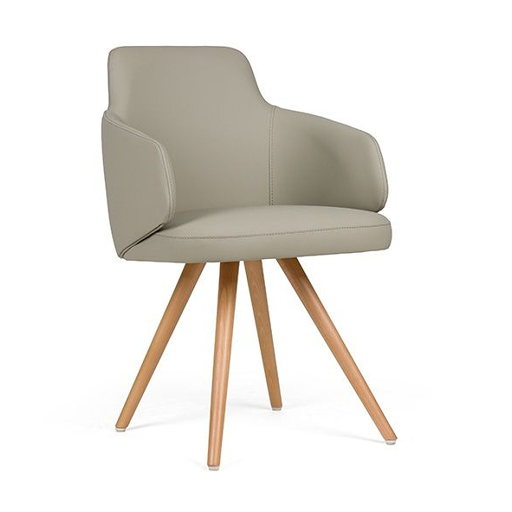 Image of Dining Chairs DC-16