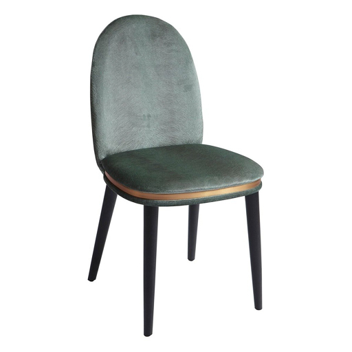 Image of Dining Chairs DC-28