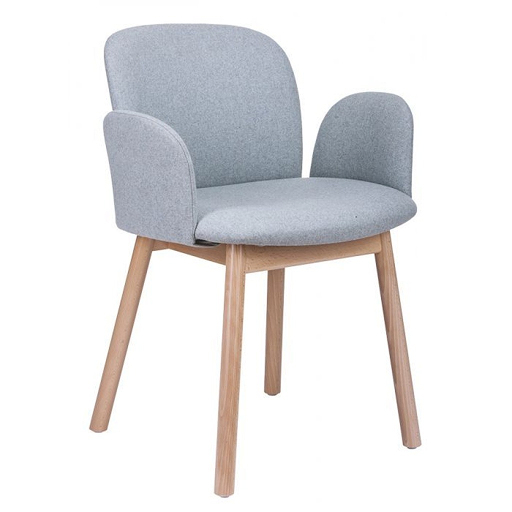 Image of Dining Chairs DC-59