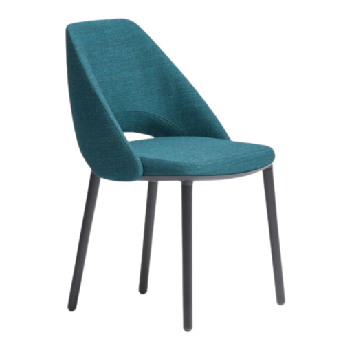 Image of Dining Chairs DC-62